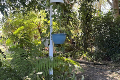 Diggers-Park-lamp-post-plant-hanging