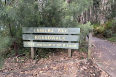 Tanilba-Bay-Boardwalk-sign-dogs-welcome-on-lead